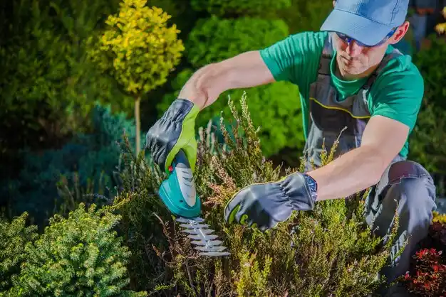 landscaping services Branson